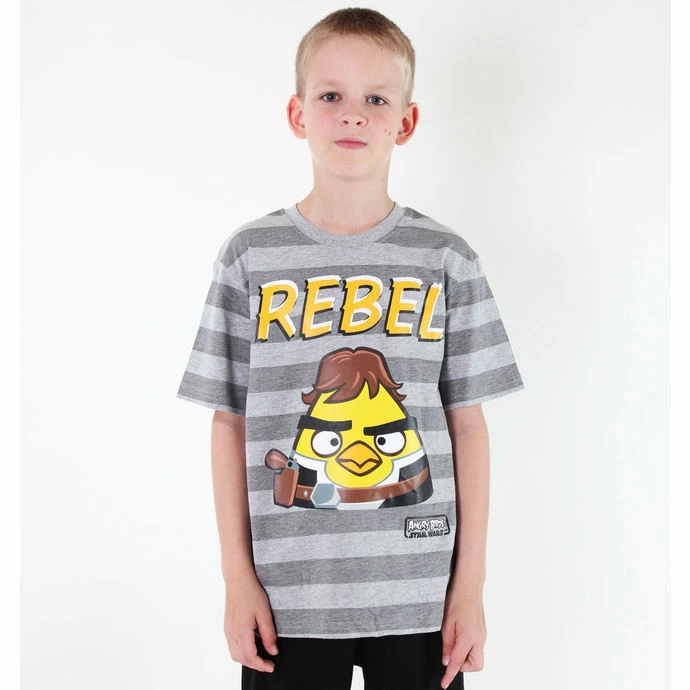Boys' T-shirt TV MANIA - Angry Birds / Star Wars - Grey 3 Boys' T-shirt TV MANIA - Angry Birds / Star Wars - Grey