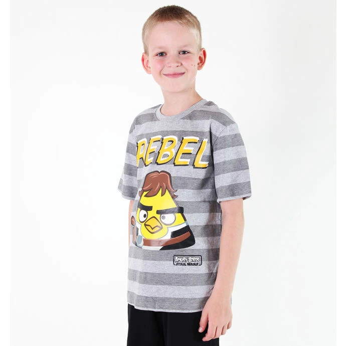 Boys' T-shirt TV MANIA - Angry Birds / Star Wars - Grey 4 Boys' T-shirt TV MANIA - Angry Birds / Star Wars - Grey - Image 2